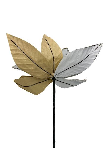 Magnolia złota 33 cm