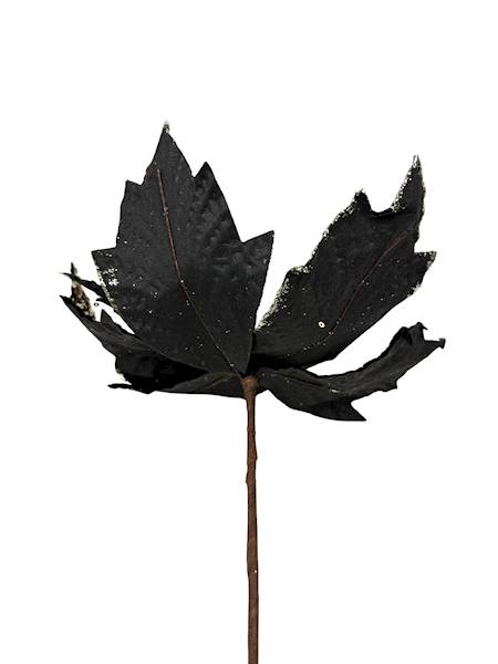 Gwiazda betlejemska welurowa 30 cm czarna