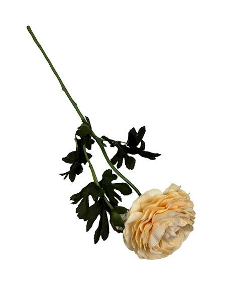 Pełnik gałązka 57 cm kremowy