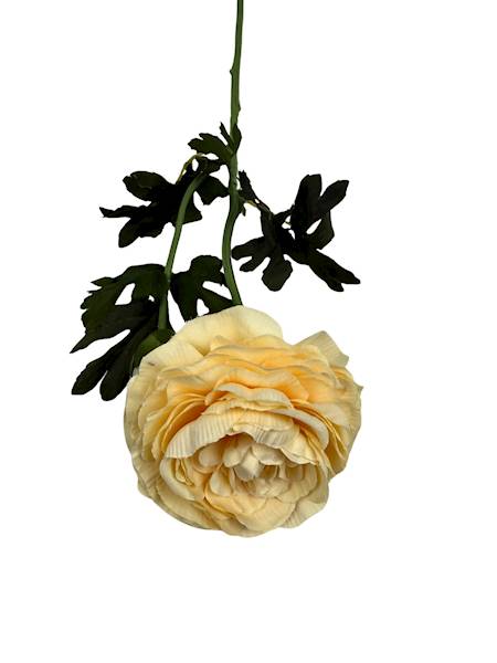 Pełnik gałązka 57 cm kremowy