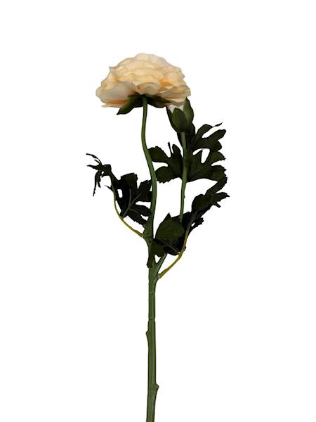 Pełnik gałązka 57 cm kremowy