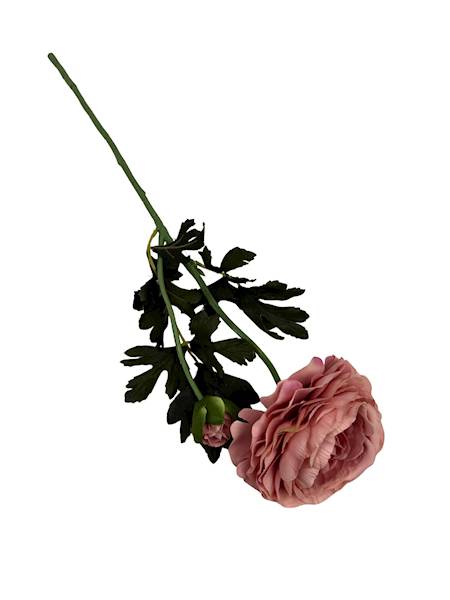 Pełnik gałązka 57 cm brudny róż