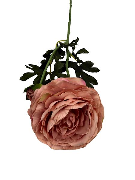 Pełnik gałązka 57 cm brudny róż