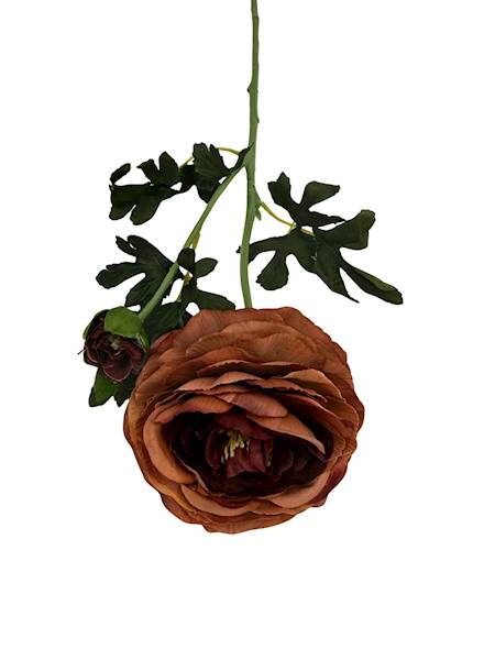 Pełnik gałązka 57 cm brązowy