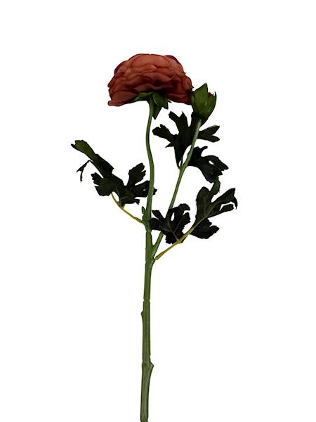 Pełnik gałązka 57 cm brązowy