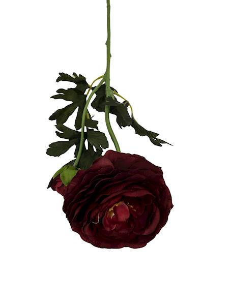 Pełnik gałązka 57 cm bordo