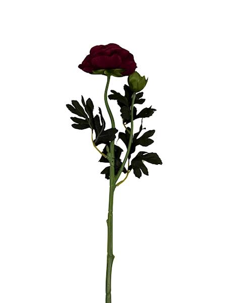 Pełnik gałązka 57 cm bordo