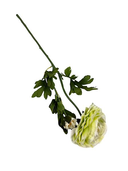 Pełnik gałązka 57 cm zielony