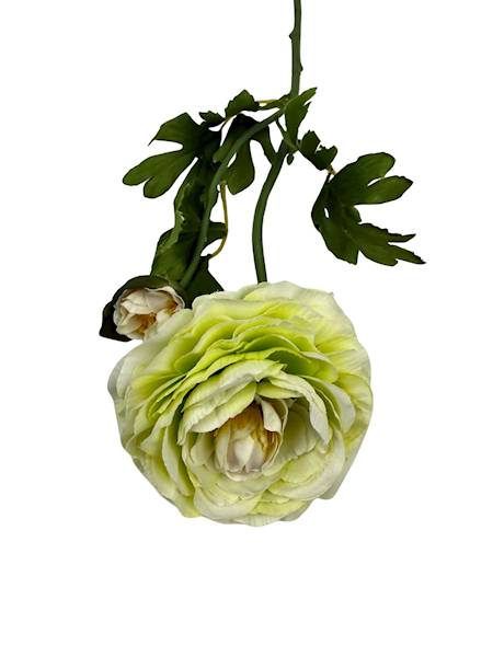 Pełnik gałązka 57 cm zielony