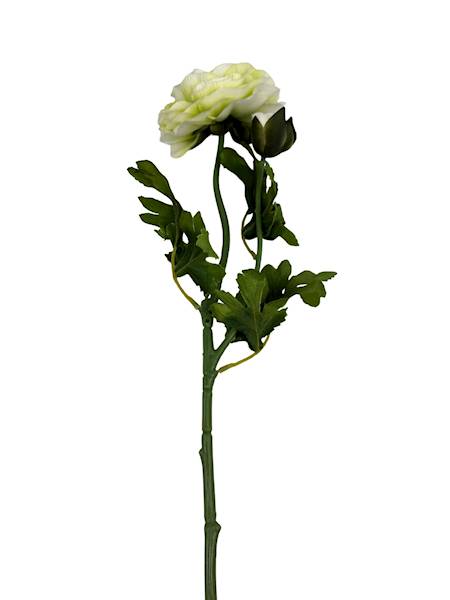 Pełnik gałązka 57 cm zielony