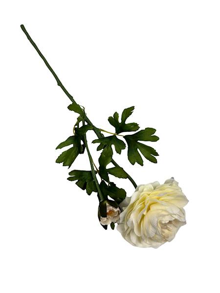 Pełnik gałązka 57 cm jasny kremowy