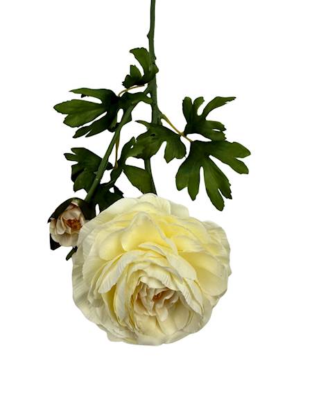 Pełnik gałązka 57 cm jasny kremowy