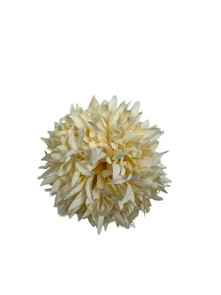 Czosnek gałązka 42 cm kremowy