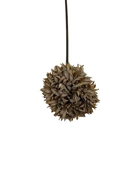 Czosnek gałązka 42 cm brąz