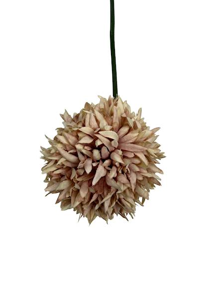 Czosnek gałązka 42 cm jasny brudny róż