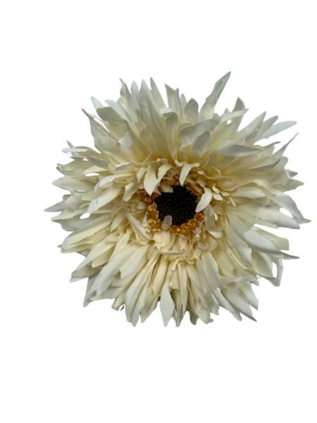 Aster gałązka 45 cm kremowy