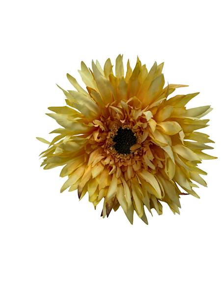 Aster gałązka 45 cm żółty