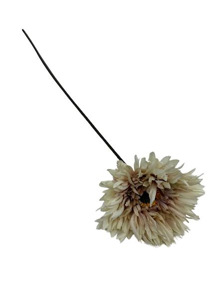 Aster gałązka 45 cm krem i brudny róż