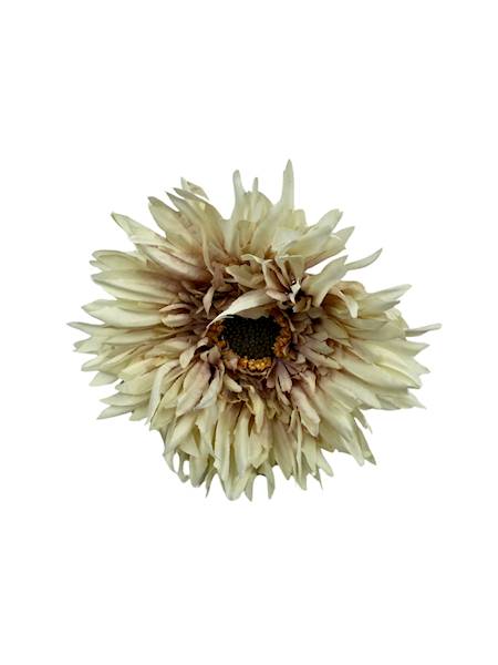 Aster gałązka 45 cm krem i brudny róż