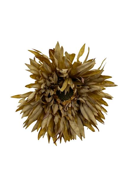 Aster gałązka 45 cm jasny brąz