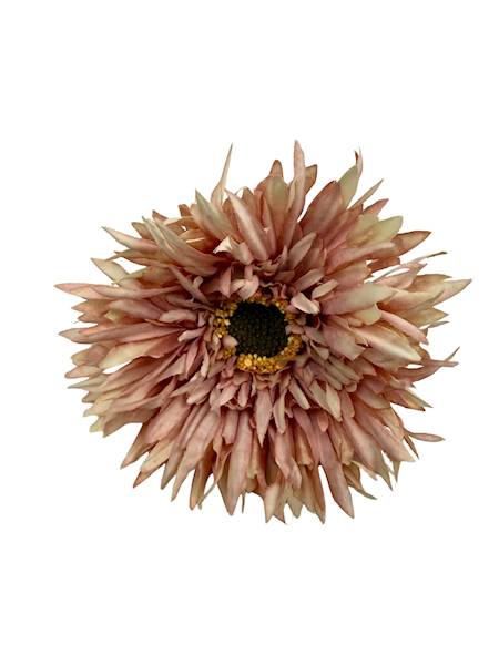 Aster gałązka 45 cm brudny róż