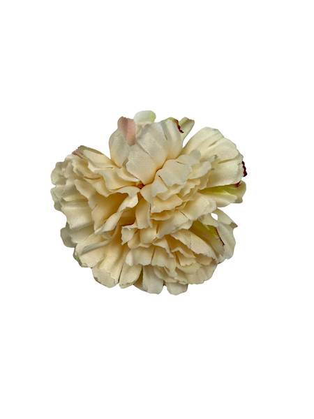 Goździk główka 8 cm jasna brzoskwinia