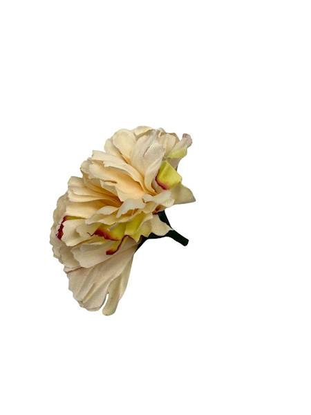 Goździk główka 8 cm jasna brzoskwinia