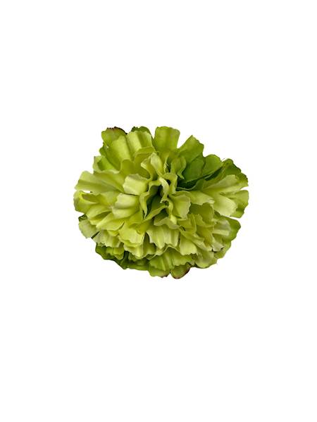 Goździk główka 8 cm zielony