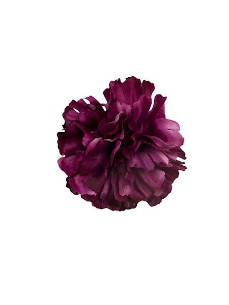 Goździk główka 8 cm ciemna fuksja