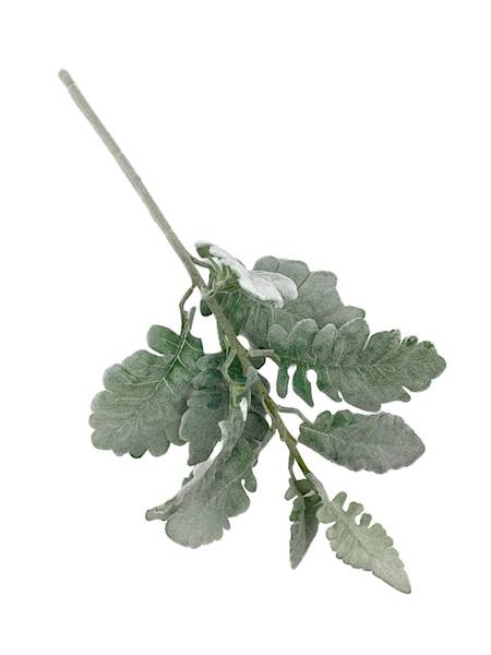 Starzec gałązka omszona 44 cm 