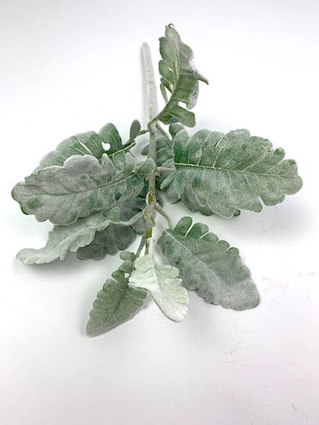 Starzec gałązka omszona 44 cm 