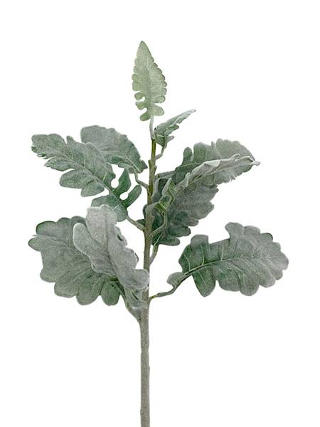 Starzec gałązka omszona 44 cm 