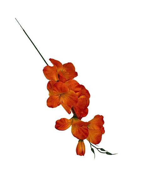 Mieczyk gałązka 53 cm pomarańczowy