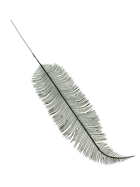 Liść palmy paproci 54 cm zielony
