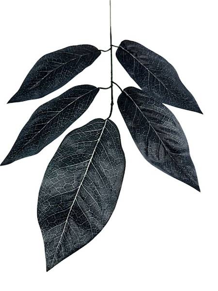 Mango liść 59 cm czarny