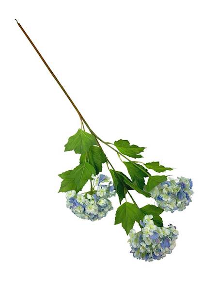Kalina gałązka 68 cm kremowo niebieska