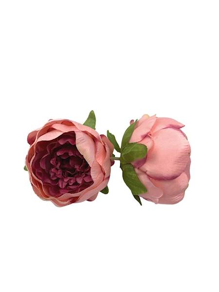Piwonia główka 12 cm różowa