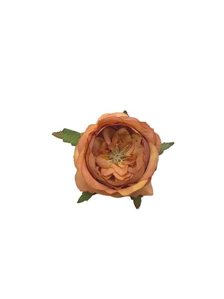 Róża główka 6 cm herbaciana