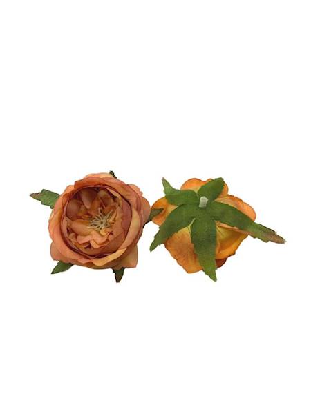 Róża główka 6 cm herbaciana