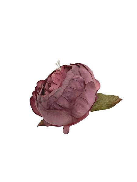 Piwonia główka 7 cm brudny róż