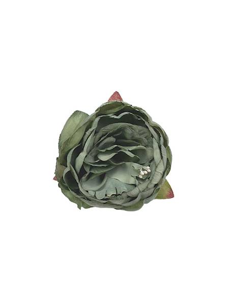 Piwonia główka 7 cm brudna zieleń