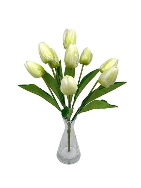 Bukiet tulipany 40 cm kremowo zielony