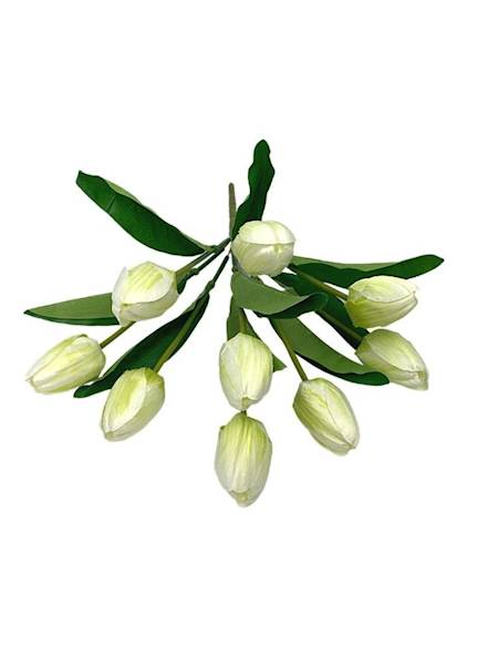 Bukiet tulipany 40 cm kremowo zielony