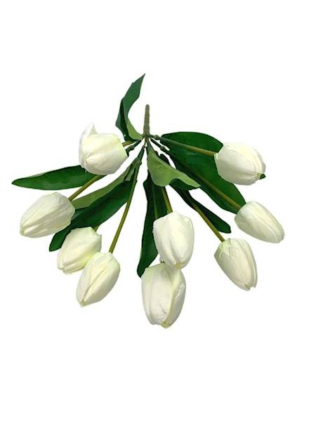 Bukiet tulipany 40 cm kremowy