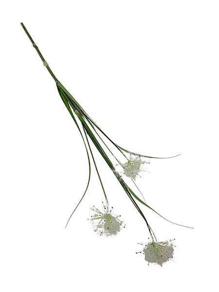 Dmuchawce gałązka 80 cm