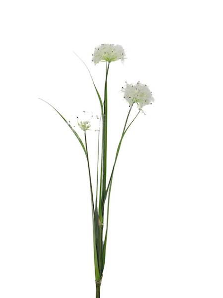 Dmuchawce gałązka 80 cm