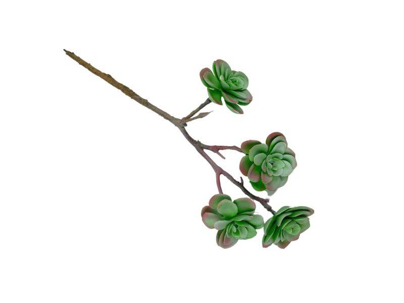 Sukulent 33 cm jasno zielony