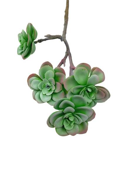 Sukulent 33 cm jasno zielony