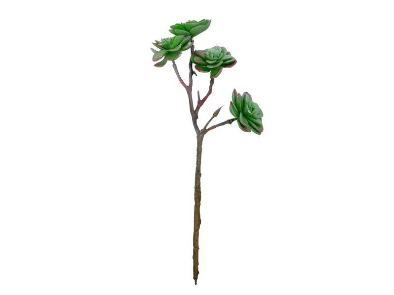 Sukulent 33 cm jasno zielony