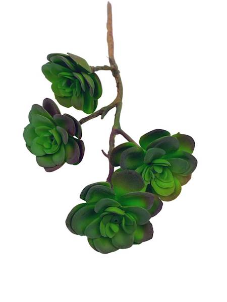 Sukulent 33 cm zielony z fioletem